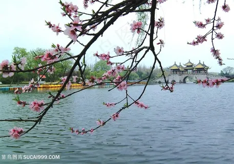 唯美公园湖边桃花图片