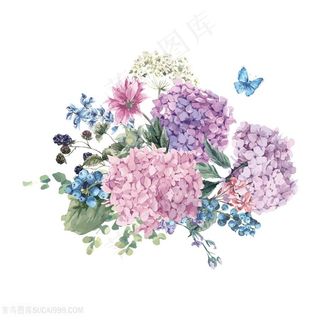 美丽蝴蝶绣球花图片