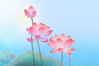 简约清新淡粉色荷花背景