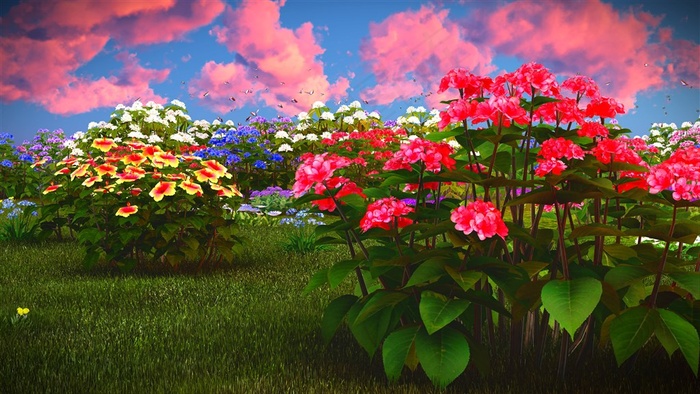 在草地上鲜艳花卉植物特写