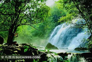 美丽的森林与瀑布