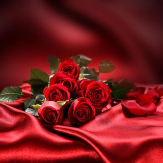 素材  背景 水果植物 动物 (9)