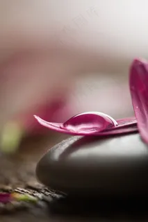 唯美花瓣鹅卵石图片 唯美花瓣鹅卵石图片