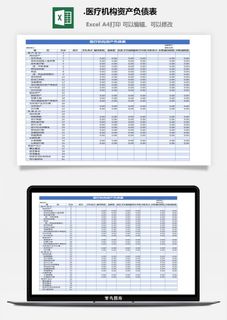 28.医疗机构资产负债表