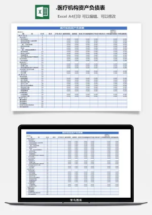 28.医疗机构资产负债表