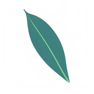 一片树叶png免抠