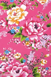 粉色红色多彩牡丹花高清背景 粉色红色多彩牡丹花高清背景