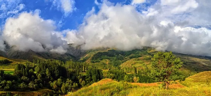 冬天自然背景风景 冬天自然背景风景