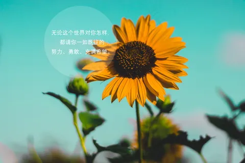 充满希望文字图片 充满希望文字图片