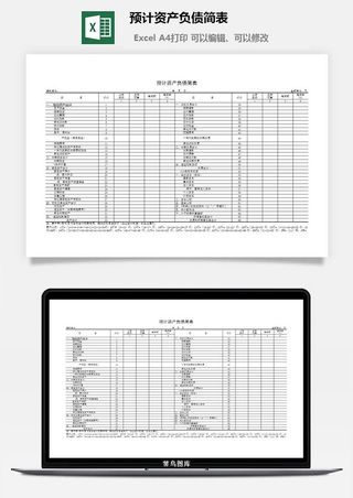 预计资产负债简表excel模板