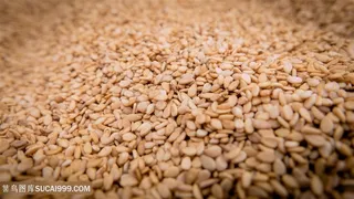 唯美农作物芝麻图片