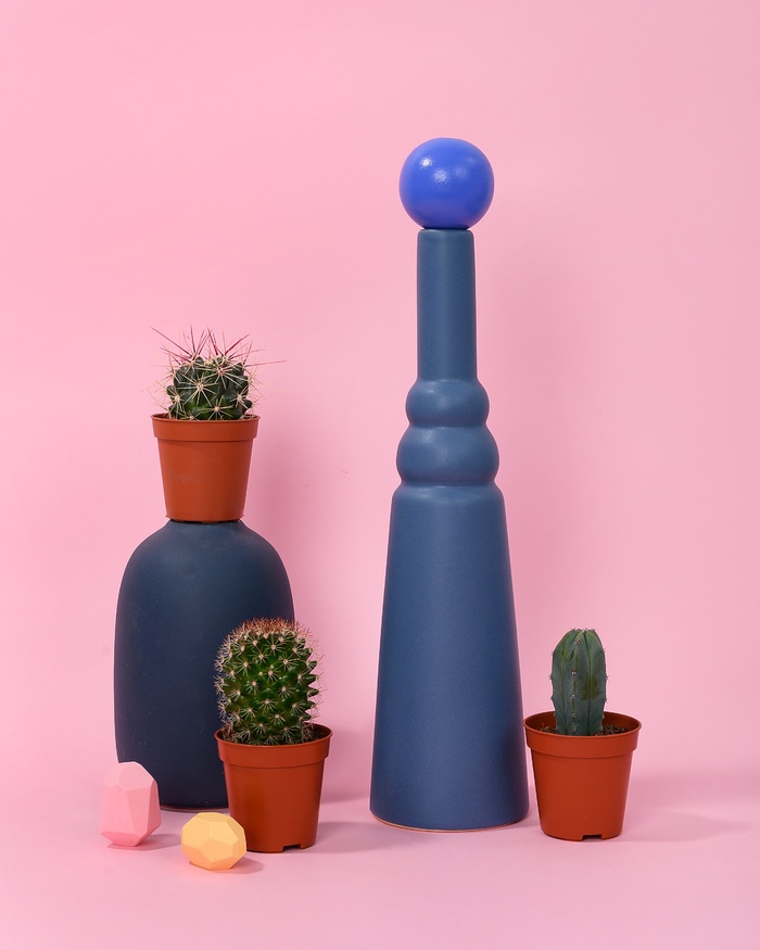 绿色仙人掌仙人球摄影素材