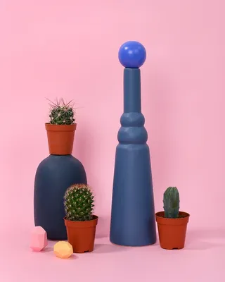 绿色仙人掌仙人球摄影素材