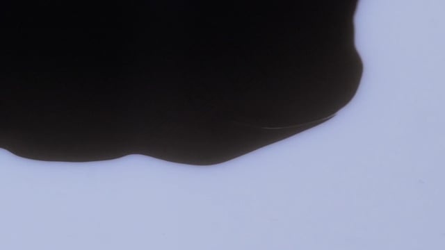 黑色的, 特写, 白色背景, 质地, 调色板, 实验