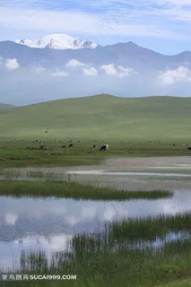 青海门源美景摄影素材