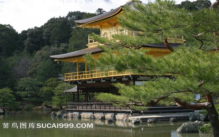 日本金阁寺素材图片