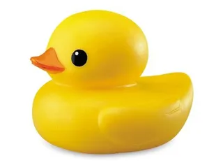 橡皮鸭 PNG免抠