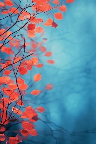 红叶大气简约蓝色背景