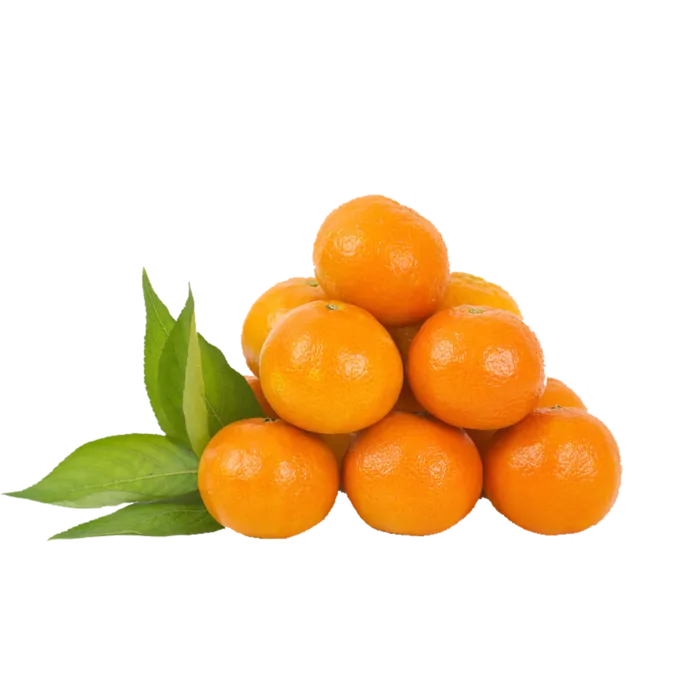 黄色成熟橘子透明免扣搭配素材