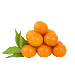 黄色成熟橘子透明免扣搭配素材