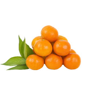 黄色成熟橘子透明免扣搭配素材