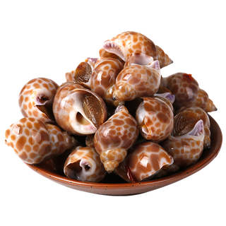 花螺 (3)海鲜超市商品红酒白底图免抠实物摄影png格式图片透明底