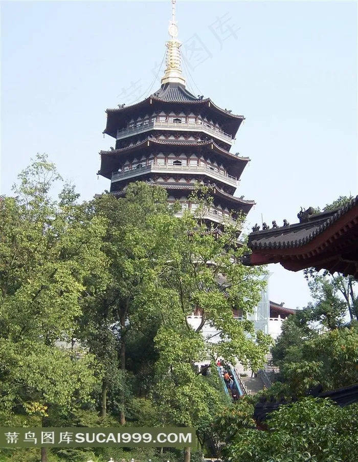 绿树丛中的雷峰塔