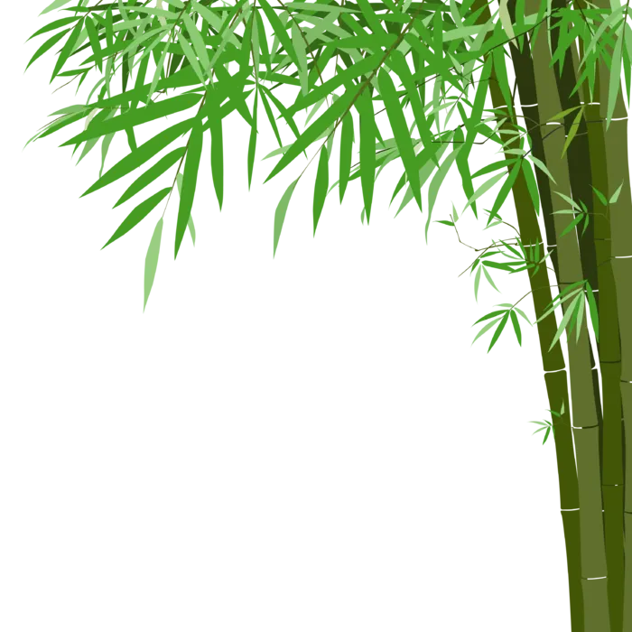 竹子水墨画中国风国画墨水书法竹子画