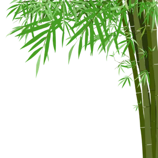 竹子水墨画中国风国画墨水书法竹子画