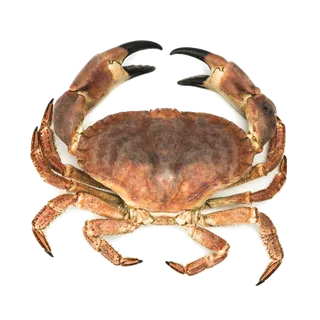 螃蟹(2)海鲜超市商品红酒白底图免抠实物摄影png格式图片透明底