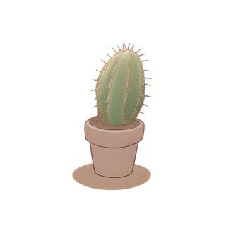 仙人掌花瓶免抠