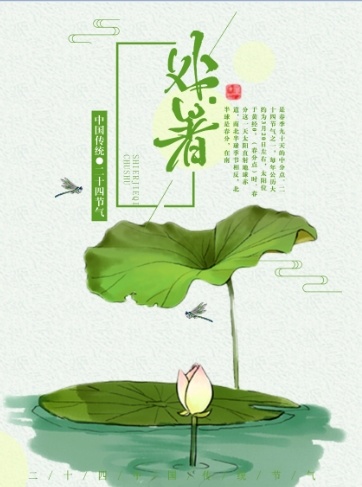 二十四节气处暑国风海报psd模版下载