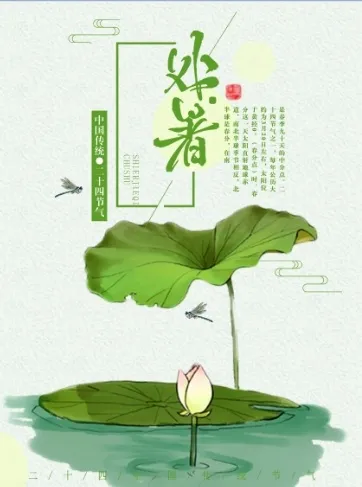 二十四节气处暑国风海报psd模版下载