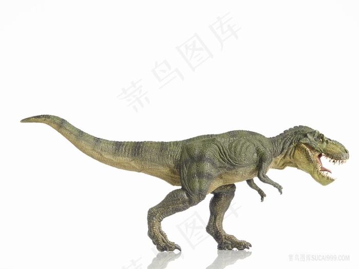 高分辨率喷绘打印素材原图画各种恐龙霸王龙高清