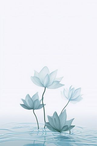 唯美清新荷花蓝色淡雅节气海报背景