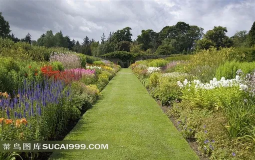 花园小路摄影背景图片