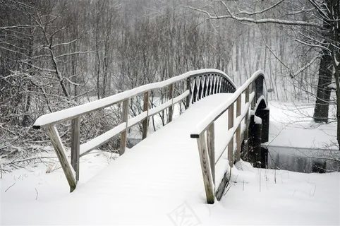 下过雪的小桥和树林风景图片