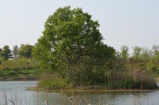 大蜀山森林公园风景图片-第5张
