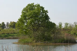 大蜀山森林公园风景图片-第5张