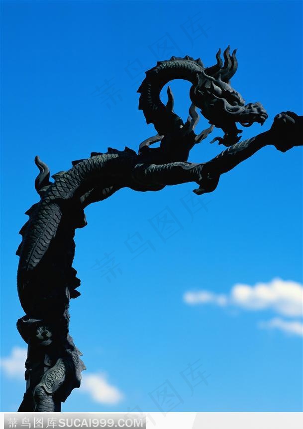 龙 雕刻龙 飞龙