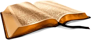 光芒书本立体实物少儿兴趣班