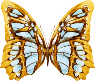 卡通动画动画蝴蝶免扣PNG手绘插画图片素材 (16)