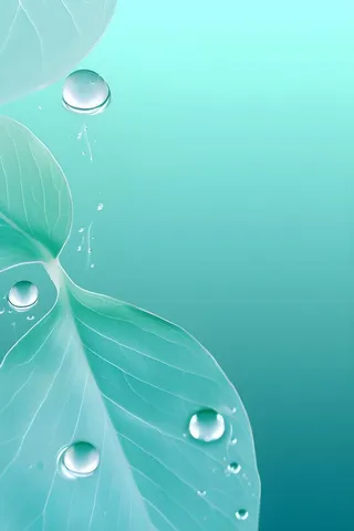 树叶露珠青色大气意境背景
