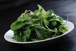 LCSC1063芥末苋菜39元 份