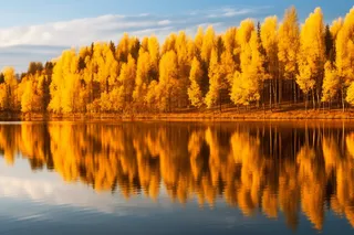 秋天的森林倒映在湖面摄影图