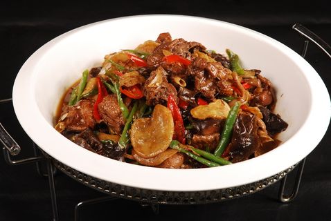 CXC03731秦巴土鸡88 3