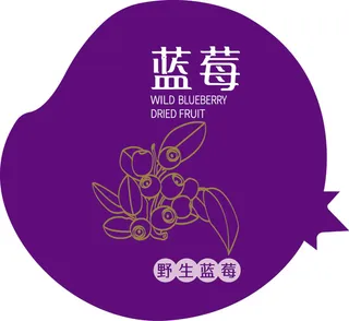 矢量莓    矢量蓝莓果   野生蓝莓   果干