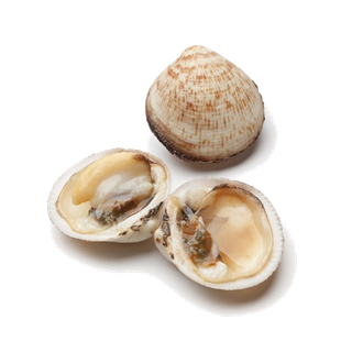 螺贝类带壳类(90)海鲜超市商品红酒白底图免抠实物摄影png格式图片透明底