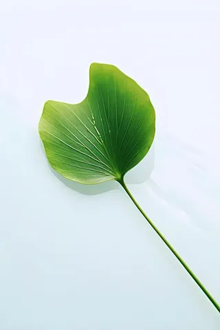 白底绿叶简约清新背景