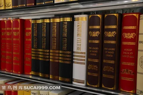 书架的藏书